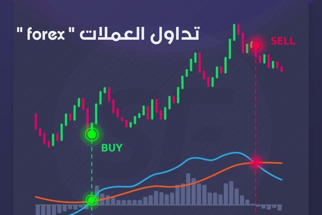 تعليم التداول من الصفر